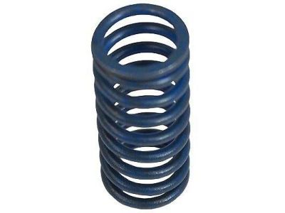 Ford 1L3Z-7F284-BA Spring