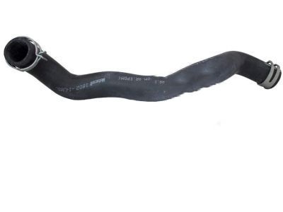 Ford F-150 Radiator Hose - 4L3Z-8286-BC