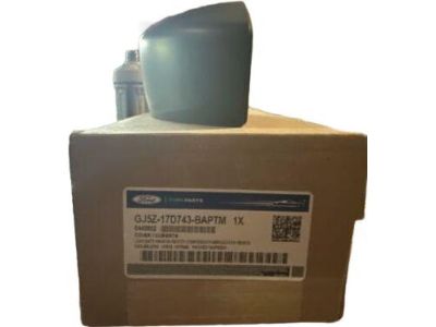 Ford Escape Mirror Cover - GJ5Z-17D743-BAPTM