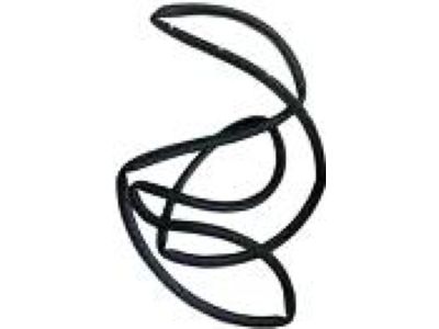 Lincoln LS Door Seal - 1W4Z-5425325-AA