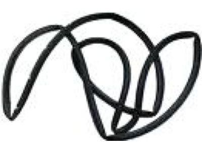 Lincoln LS Door Seal - 1W4Z-5425325-AA