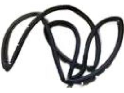 Lincoln LS Door Seal - 1W4Z-5425325-AA