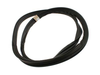 Ford Focus Weather Strip - BM5Z-5443720-B