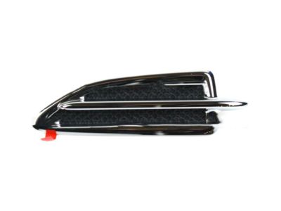 Ford CJ5Z-16228-AB Moulding - Front Body Panel