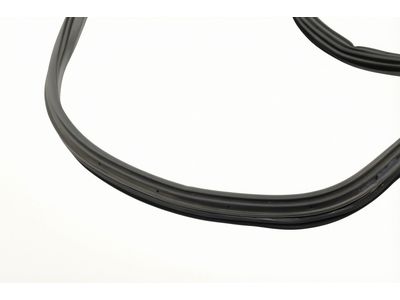 Ford E-Transit Weather Strip - EK4Z-61253A10-G