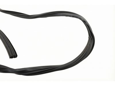 Ford E-Transit Weather Strip - EK4Z-61253A10-G