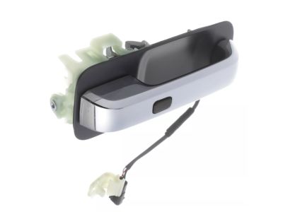 Ford F-350 Super Duty Door Handle - JC3Z-2522404-ECPTM
