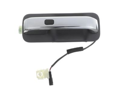 Ford F-350 Super Duty Door Handle - JC3Z-2522404-ECPTM