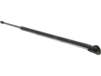 Ford Escape Lift Support - GJ5Z-78406A10-A