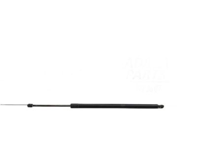 Ford Escape Lift Support - GJ5Z-78406A10-A