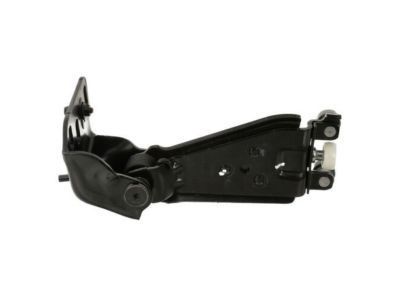 Ford DT1Z-9926801-A Hinge Assembly