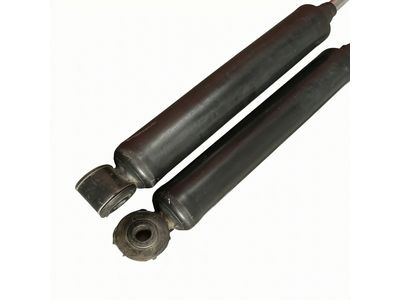 Ford F-250 Super Duty Coil Springs - LC3Z-5310-L