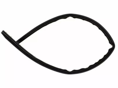 Ford Transit Door Seal - CK4Z-6151401-G