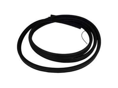 Ford F2UZ-15253A10-A Weatherstrip