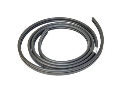 Ford F2UZ-15253A10-A Weatherstrip