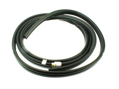 1996 Ford E-150 Weather Strip - F2UZ-15253A10-A