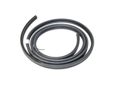 Ford F2UZ-15253A10-A Weatherstrip