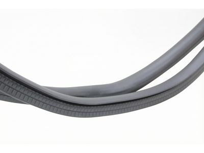 Ford Bronco Sport Weather Strip - M1PZ-7820708-B