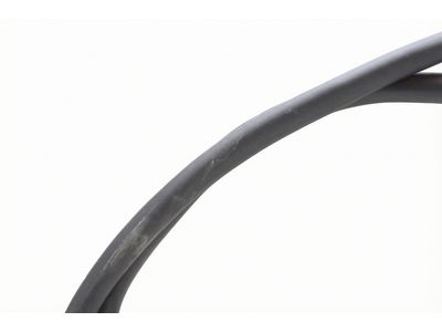 Ford Bronco Sport Weather Strip - M1PZ-7820708-B