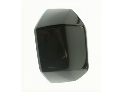 2020 Ford F-150 Mirror Cover - FL3Z-17D743-CAPTM
