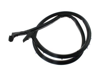 2012 Ford E-150 Weather Strip - F5UZ-1525325-BA