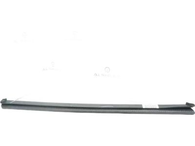Ford SSV Plug-In Hybrid Door Seal - DS7Z-5421457-A