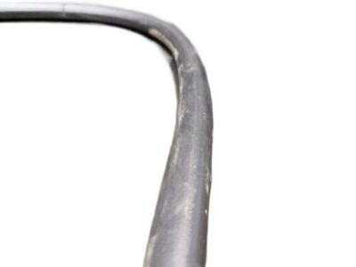Ford FT4Z-5820708-A Weatherstrip Assembly - Door Opening