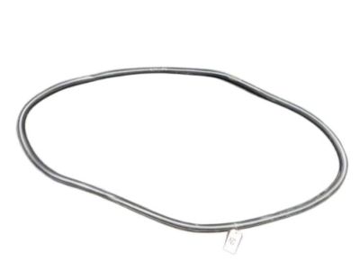 Ford FT4Z-5820708-A Weatherstrip Assembly - Door Opening