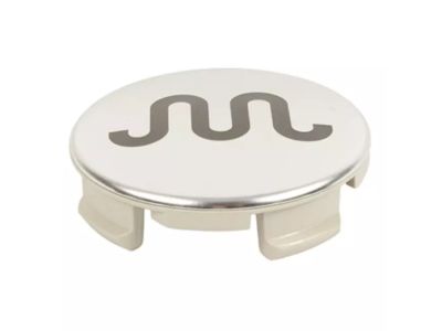 2020 Ford F-150 Wheel Cover - FL3Z-1130-J