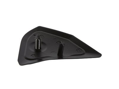 Ford FL3Z-1029038-A Moulding