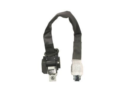 Ford DA8Z-74611B69-BB Seat Belt Assembly