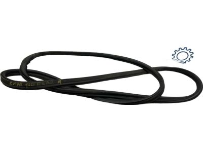 AM5Z-5843720-A Ford Weatherstrip Product Photo 2 of 5