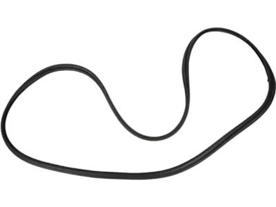 AM5Z-5843720-A Ford Weatherstrip Product Photo 1 of 5