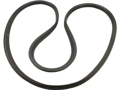 AM5Z-5843720-A Ford Weatherstrip Product Photo 4 of 5