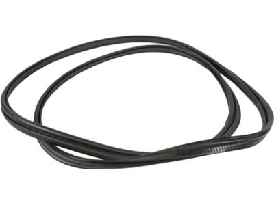 AM5Z-5843720-A Ford Weatherstrip Product Photo 3 of 5