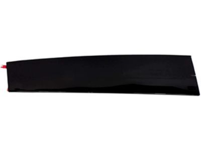 Ford Police Interceptor Utility Door Moldings - DB5Z-7820555-AC