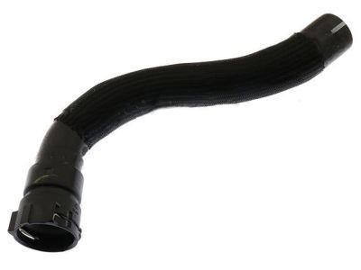 Ford AA5Z-8286-D Hose - Radiator