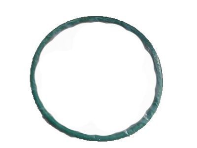 Ford F-250 Super Duty Fuel Pump Seal - 4L3Z-9276-AA