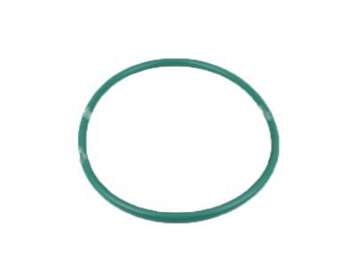 Ford 4L3Z-9276-AA Gasket