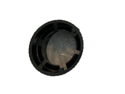 Ford F6DZ-13N019-A Retainer - Bulbs