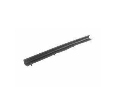 Ford 3W1Z-5425596-AA Weatherstrip - Door Glass Channel