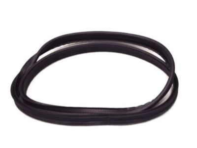 Ford Fairmont Weather Strip - D9ZZ6651346A