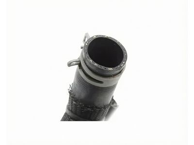 2021 Ford Escape Radiator Hose - LX6Z-8286-H
