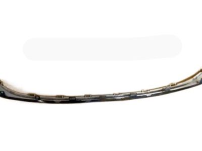 Ford HP5Z-17C830-A Moulding - Bumper Bar