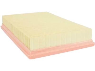 Mercury Air Filter - 3W3Z-9601-CA