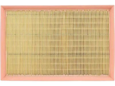 Mercury Air Filter - 3W3Z-9601-CA