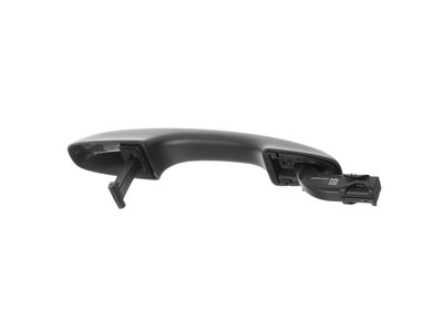 2024 Ford Escape Door Handle - LJ6Z-7822404-AA