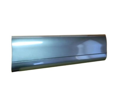 Ford XW1Z-5420878-AAE Moulding - Door Outside