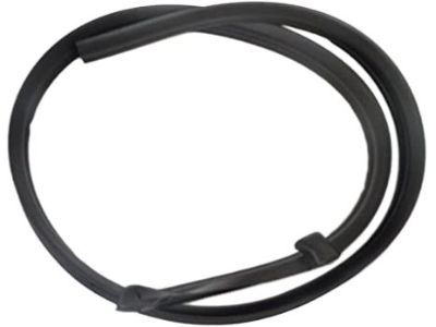 2007 Ford F-150 Weather Strip - 5L3Z-1651223-AA