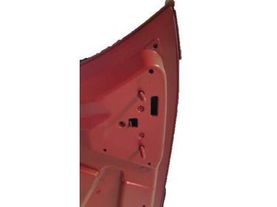 Ford 1W6Z-16612-AA Hood Assembly